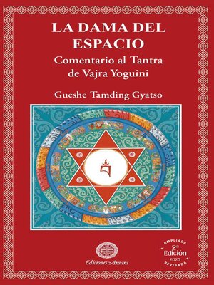 cover image of LA DAMA DEL ESPACIO